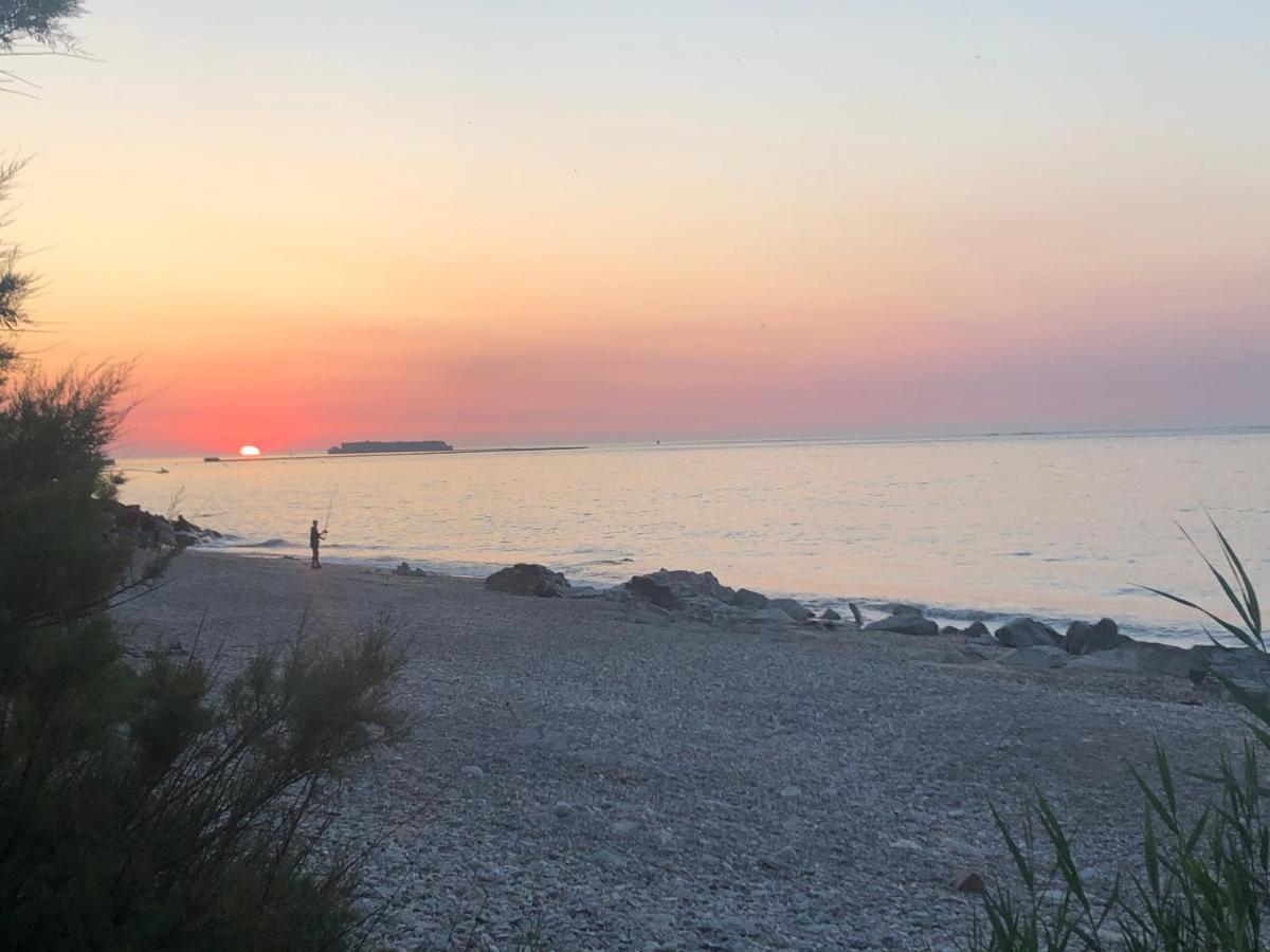 Sur Le Chemin De La Plage シェルブール・アン・コタンタン エクステリア 写真